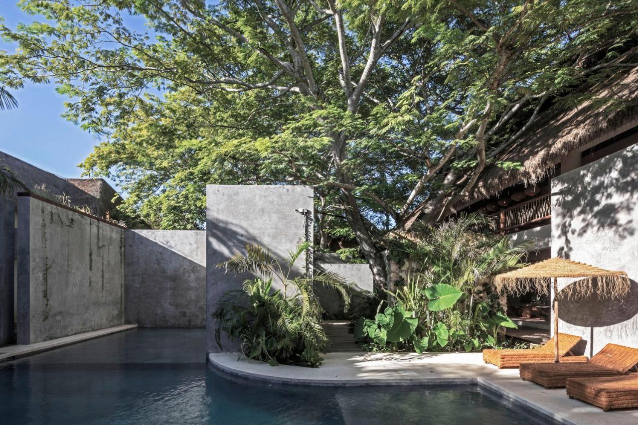 Hotel Casa Hormiga Bacalar Exterior photo