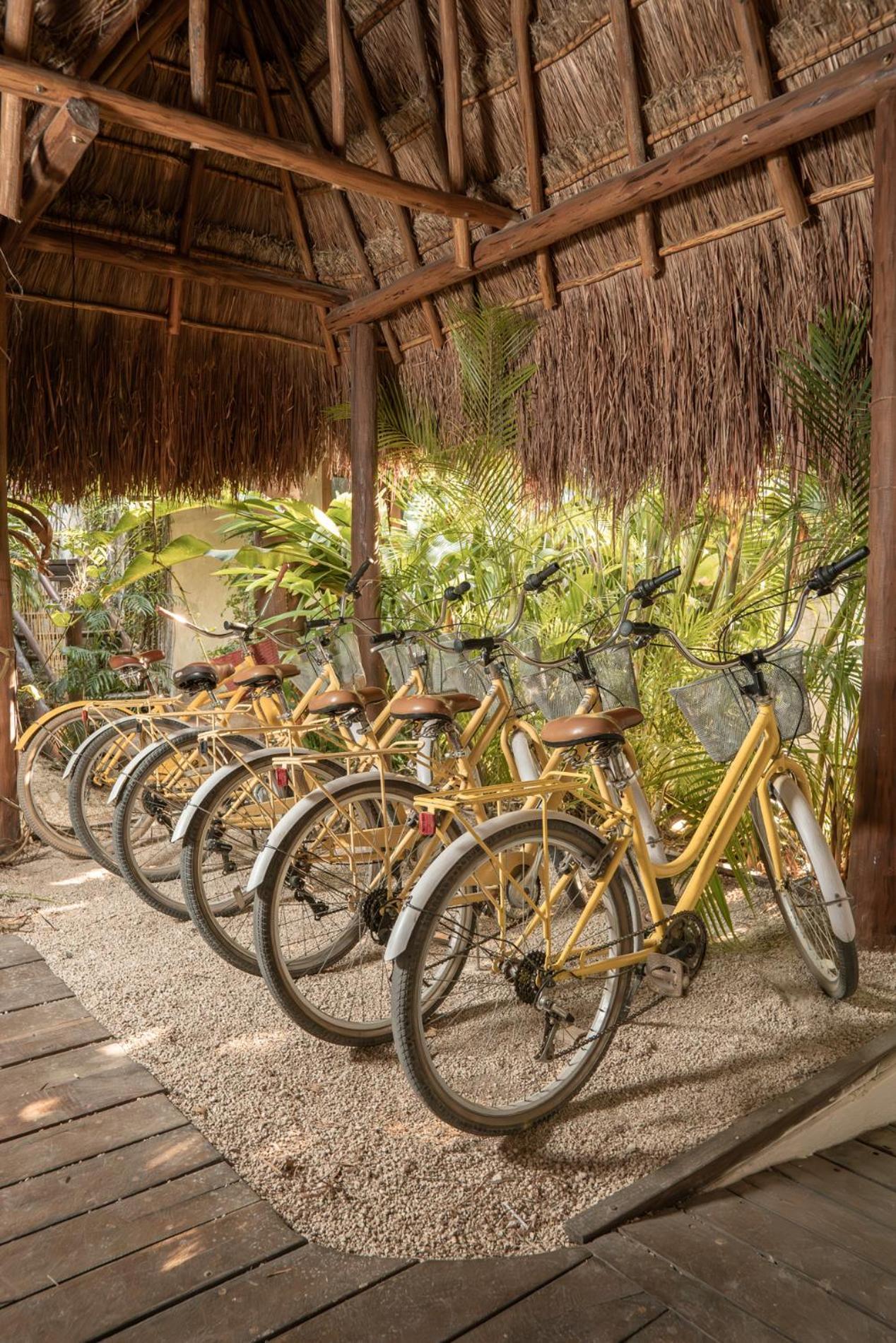 Hotel Casa Hormiga Bacalar Exterior photo